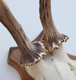 3 x zesender REE GEWEI op houten schild