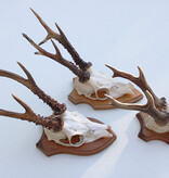 3 x zesender REE GEWEI op houten schild