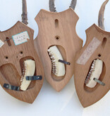 3 x zesender REE GEWEI op houten schild