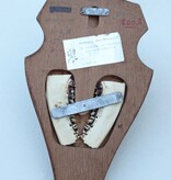 Abnorm  REE GEWEI op houten schild
