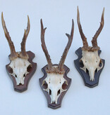 3 x REE GEWEI op houten schild