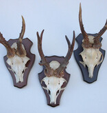 3 x REE GEWEI op houten schild