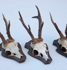 3 x REE GEWEI op houten schild -  set X