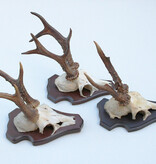 3 x REE GEWEI op houten schild