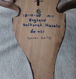Groot abnorm Engels DAMHERT GEWEI op schild