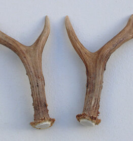 REE GEWEI PAAR 17 cm - Ref. L