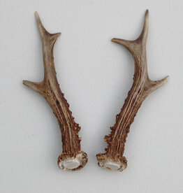 REE GEWEI PAAR 18 cm - Ref. L