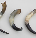3 x KOE HOORN - 59/65 cm