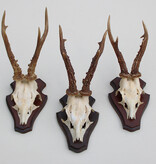 3 x groot REE GEWEI op houten schild