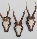 3 x groot REE GEWEI op houten schild