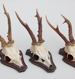 3 x groot REE GEWEI op houten schild