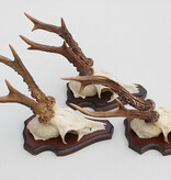 3 x groot REE GEWEI op houten schild