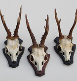 3 x REE GEWEI op houten schild