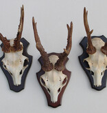 3 x REE GEWEI op houten schild