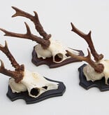 3 x REE GEWEI op houten schild