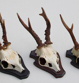 3 x REE GEWEI op houten schild