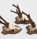 3 x REE GEWEI op houten schild - met kaakdeeltjes