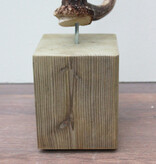 Groot DAMHERT GEWEI op houten sokkel