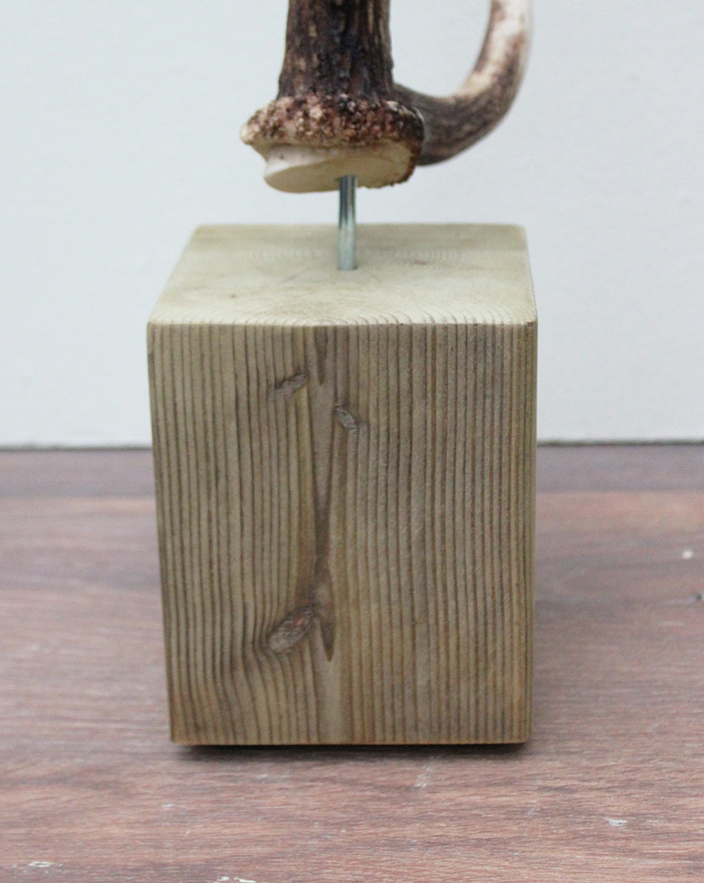 Groot DAMHERT GEWEI op houten sokkel