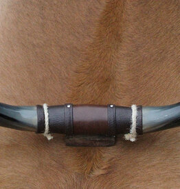 Texas style BULLBAR-50  cm - ref. L