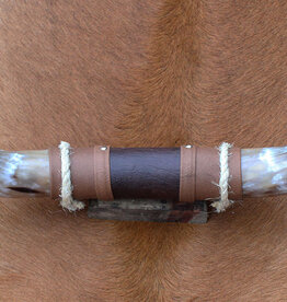 Texas style BULLBAR- 47 cm - ref. M