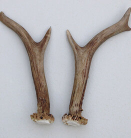 REE GEWEI PAAR 17 cm - Ref. i