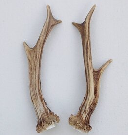 REE GEWEI PAAR 16 cm - Ref. A