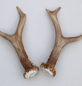 REE GEWEI PAAR 15 cm - Ref. W