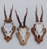 3 x REE GEWEI op eikenhouten schild