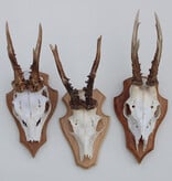 3 x REE GEWEI op eikenhouten schild