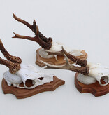 3 x REE GEWEI op eikenhouten schild