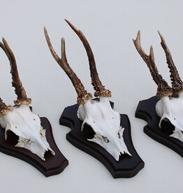 3 x Engels REE GEWEI op houten schild -  set Q