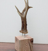 Zesender REE GEWEI paar op stevige houten sokkel