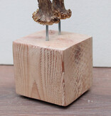 Zesender REE GEWEI paar op stevige houten sokkel