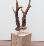 Zesender REE GEWEI paar op stevige houten sokkel