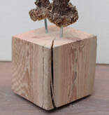 Zesender REE GEWEI paar op stevige houten sokkel