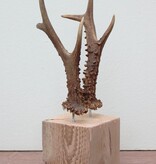 Zesender REE GEWEI paar op stevige houten sokkel