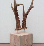 Zesender REE GEWEI paar op stevige houten sokkel