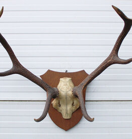 EDELHERT GEWEI 8-ender - Ref. ES2