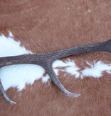 Grote EDELHERT GEWEI AFWERP STANG - 2 kg - 85 cm