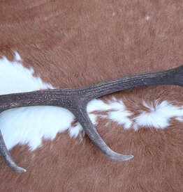 Grote EDELHERT GEWEI AFWERP STANG - 2 kg - 85 cm  - ref. A