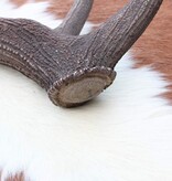 Grote EDELHERT GEWEI AFWERP STANG - 2 kg - 85 cm