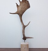 DAMHERT GEWEI op houten sokkel