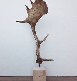 DAMHERT GEWEI op houten sokkel - ref. A