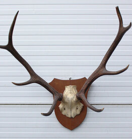 EDELHERT GEWEI 8-ender - Ref. ES3