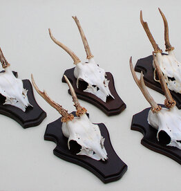 5 x Engels / NL REE GEWEI op houten schild -  set E