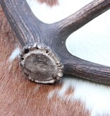 Grote EDELHERT GEWEI AFWERP STANG - 1,5 kg - 82 cm