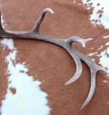 Grote EDELHERT GEWEI AFWERP STANG - 2 kg - 96 cm