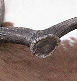 Grote EDELHERT GEWEI AFWERP STANG - 3 kg - 85 cm