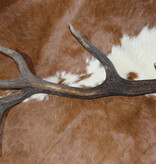 Grote EDELHERT GEWEI AFWERP STANG - 3 kg - 93 cm